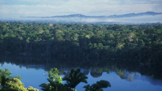Área protegida municipal Bajo Madidi: Puente entre territorios indígenas y áreas protegidas en la Amazonia boliviana – CI