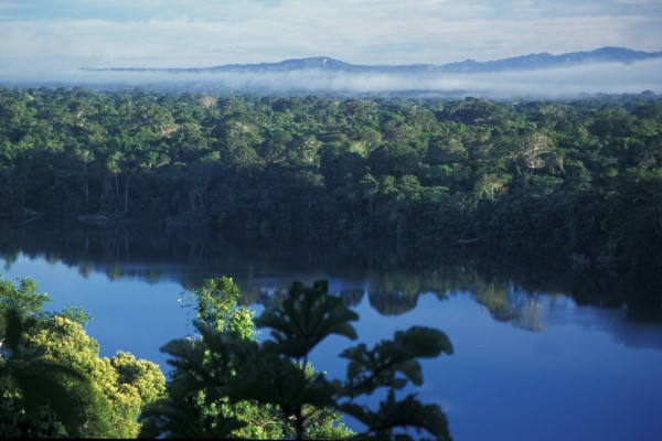 Área protegida municipal Bajo Madidi: Puente entre territorios indígenas y áreas protegidas en la Amazonia boliviana – CI