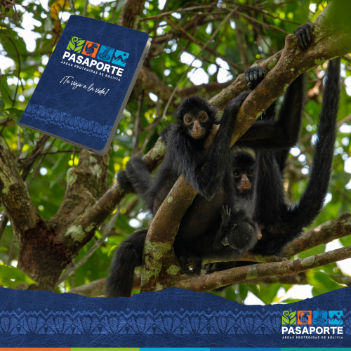 Conoce el Pasaporte para la Conservación de las Áreas Protegidas de Bolivia
