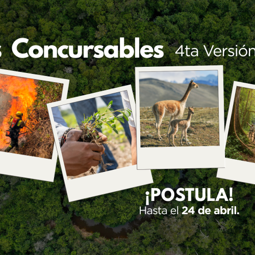 ¡Llegaron los Fondos Concursables Piensa Verde 2026!