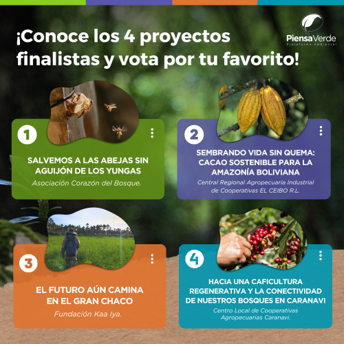 ¡VOTA AQUÍ POR TU FAVORITO DE LOS FONDOS CONCURSABLES 2026!